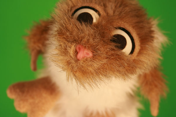 hamster1
