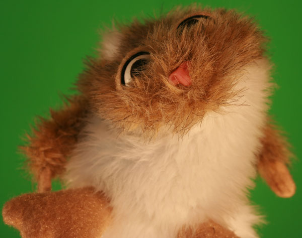 hamster2