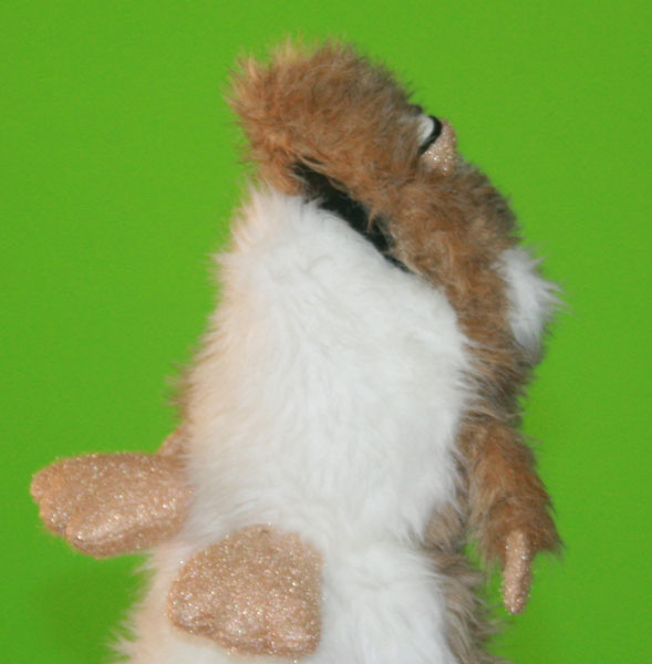 hamster5