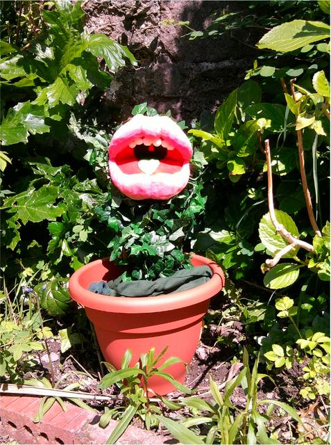 Two-lips!