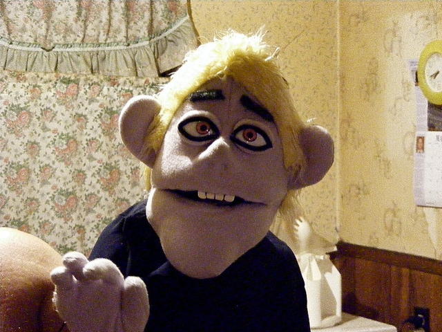 stevespuppet1