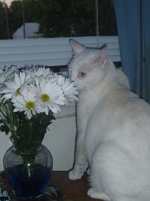 P1010029