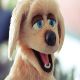 puppetsmagic6j4